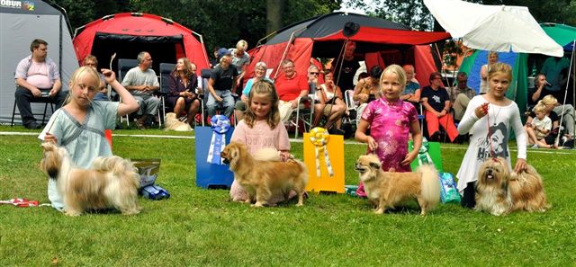 Shih Tzu Danmark Grenaa